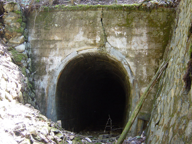 �ؑ]�X�ѓS�����������,�ѓS,�p����,��1��詓�,�g���l��,�|�[�^��,�A�[�`