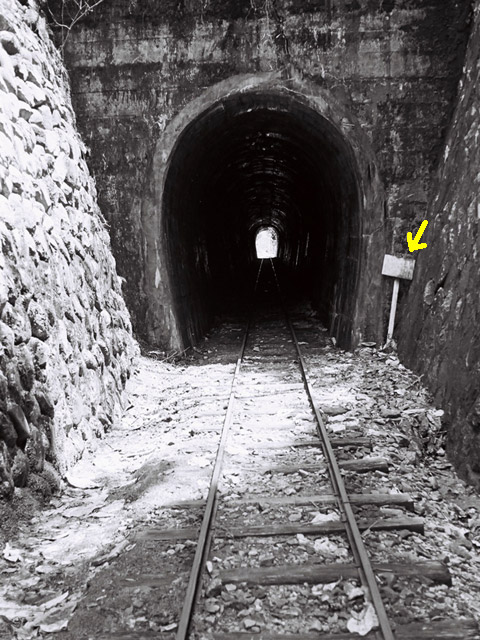 ��������X�ѓS��,�ѓS,���[��,詓��\����,�ؑ]�X�ѓS��,�g���l��