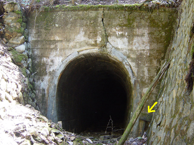 ��������X�ѓS��,�ѓS,�p����,詓��\����,�\�����W,�g���l��,�ؑ]�X