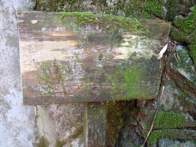 ��������X�ѓS��,�ѓS,�p����,詓��\����,�\�����W,�g���l��,�ѓ�