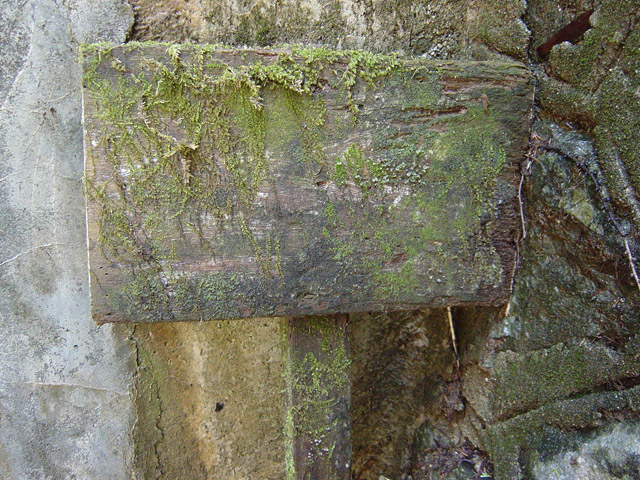 ��������X�ѓS��,�ѓS,�p����,詓��\����,�\�����W,�g���l��,����