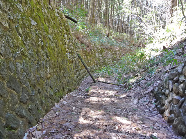 ��������X�ѓS��,�ѓS,�p����,�؍މ^���O��,�ؑ]�X,�Ί_