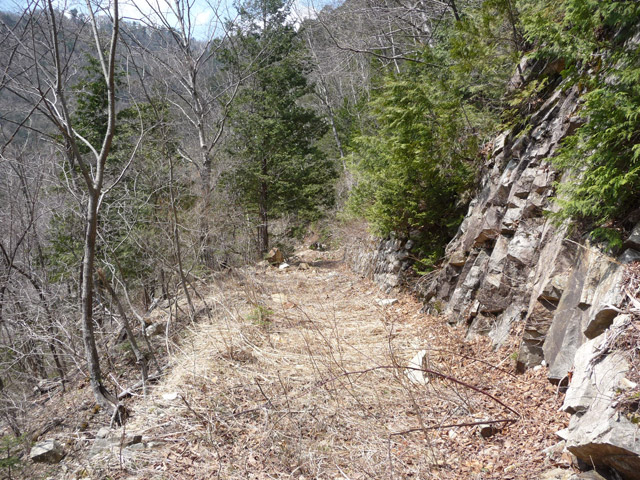 �֐��d�͎O�Y�_����p��,����X�ѓS������,�ѓS,�p����