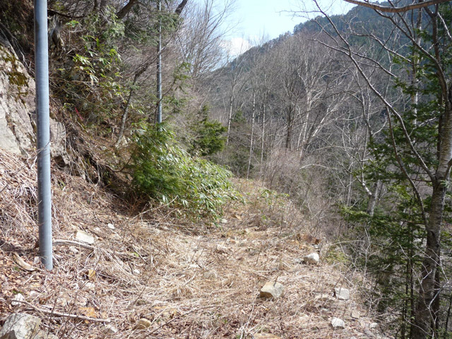 �֐��d�͎O�Y�_����p��,����X�ѓS������,�ѓS,�p����