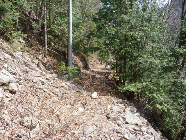 �֐��d�͎O�Y�_����p��,����X�ѓS������,�ѓS,�p����