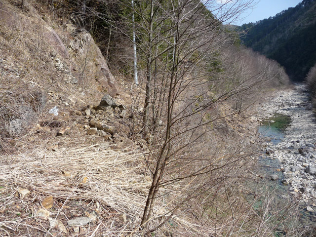 �֐��d�͎O�Y�_����p��,����X�ѓS������,�ѓS,�p����,�O����