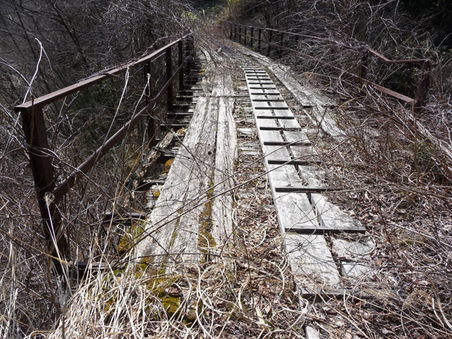 �֐��d�͎O�Y�_����p��,����X�ѓS������,�ѓS,�p����,�T�J�T�}�J����