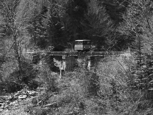 �֐��d�͎O�Y�_����p��,����X�ѓS������,�ѓS,�T�J�T�}�J����,���[�^�[�J�[