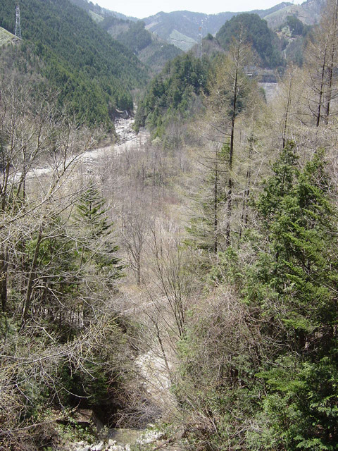 �֐��d�͎O�Y�_����p��,����X�ѓS������,�ѓS,�p����,�T�J�T�}�J����