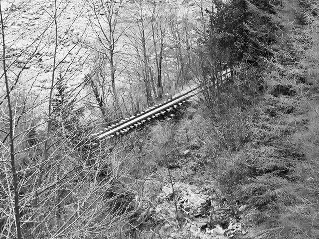 �֐��d�͎O�Y�_����p��,����X�ѓS������,�ѓS,�T�J�T�}�J����