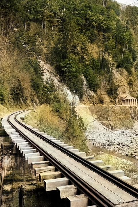 �֐��d�͎O�Y�_����p��,����X�ѓS������,�ѓS,�T�J�T�}�J����