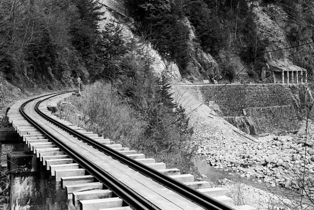 �֐��d�͎O�Y�_����p��,����X�ѓS������,�ѓS,�T�J�T�}�J����