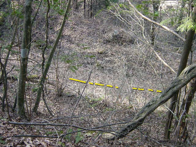 �����ԏ�