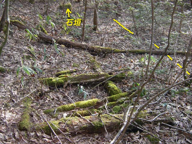 �����ԏ�