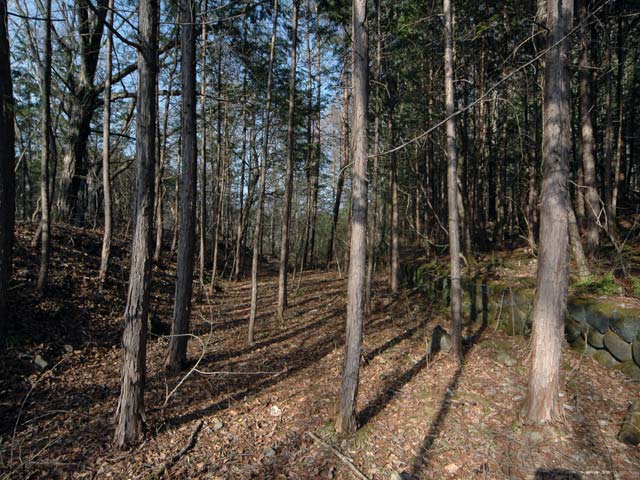 �����ԏ�