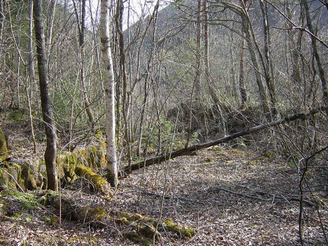 �����ԏ�