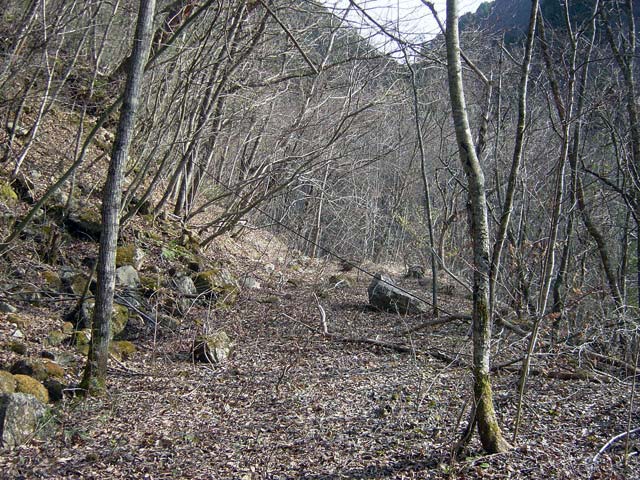 �����ԏ�