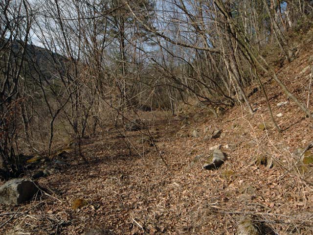 �����ԏ�