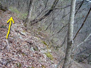 �����ԏ�