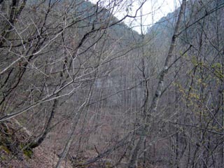 �����ԏ�