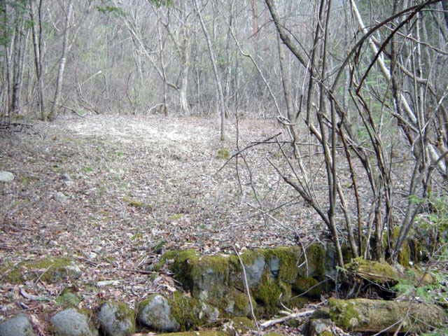 �����ԏ�