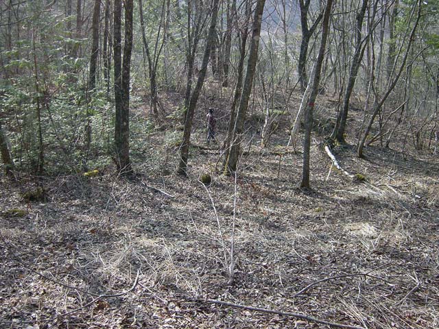 �����ԏ�