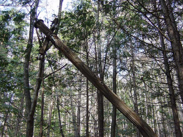 �����ԏ�