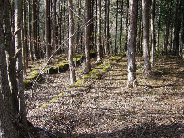 �����ԏ�