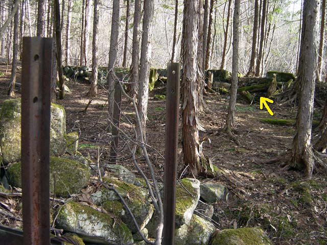 �����ԏ�