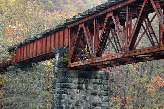 ����X�ѓS��,�ѓS,����싴��,�K�[�_�[��,�p����,�p��,���r,�֐��d�͐�p����