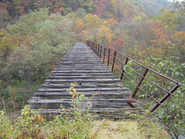 ����X�ѓS��,����싴��,�ѓS,�֐��d�͐�p��,�p����,����,����