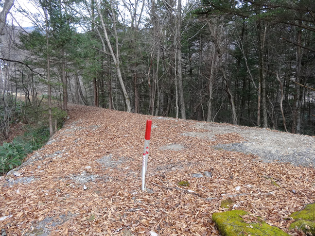 ����X�ѓS�������,�ѓS,�p����,�֐��d�͐�p��,�ؑ]�X,����