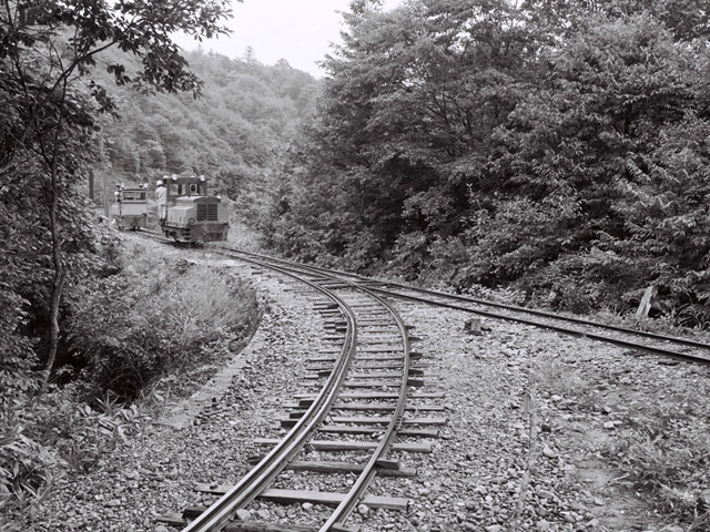 ����X�ѓS�������,�ѓS,�p����,�֐��d�͐�p��,�ؑ]�X,�@�֎�