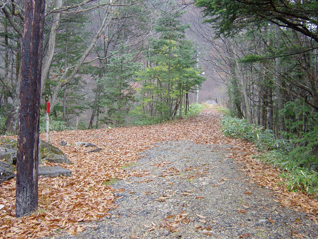 ����X�ѓS��,�ѓS,�p����,�֐��d�͐�p��,�ؑ]�X