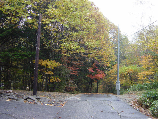 ����X�ѓS��,�ѓS,�p����,�֐��d�͐�p��,�ؑ]�X,����