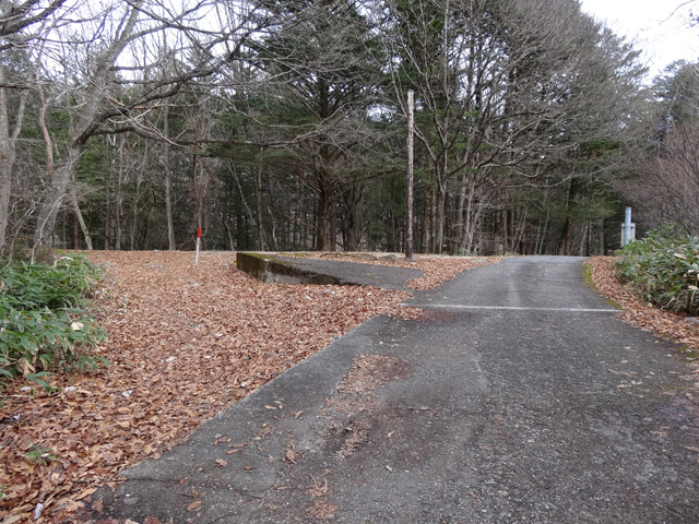 ����X�ѓS��,�ѓS,�p����,�֐��d�͐�p��,�ؑ]�X,����