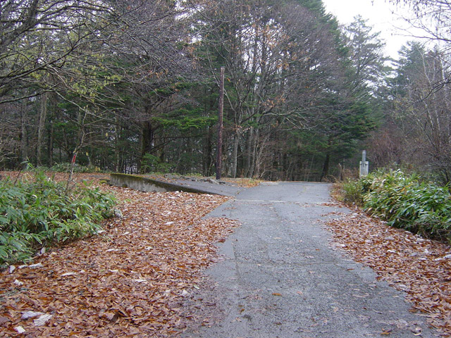 ����X�ѓS��,�ѓS,�p����,�֐��d�͐�p��,�ؑ]�X,����