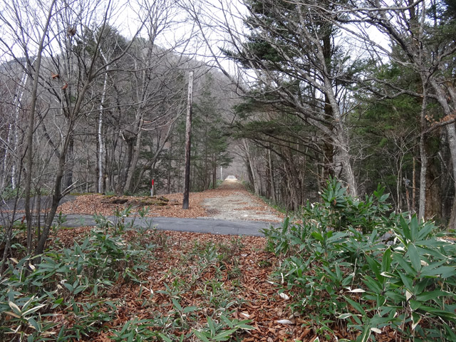 ����X�ѓS��,�ѓS,�p����,�֐��d�͐�p��,�ؑ]�X,����