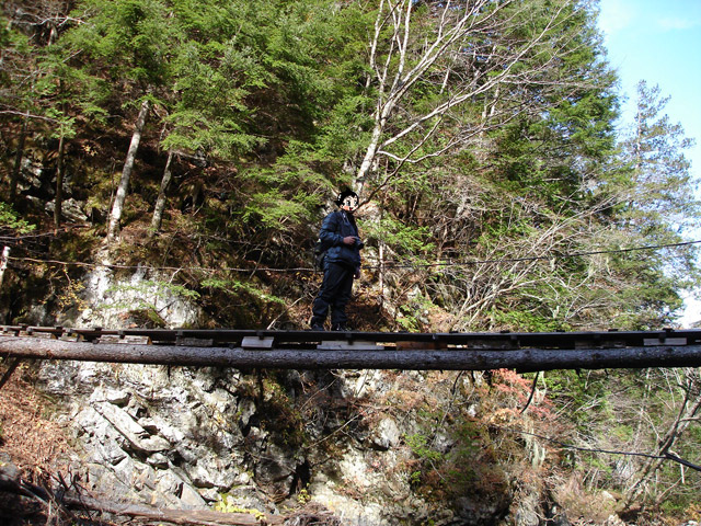 �����X�ѓS��,�ѓS,�p����,�攪���X�싴��,�ۑ���