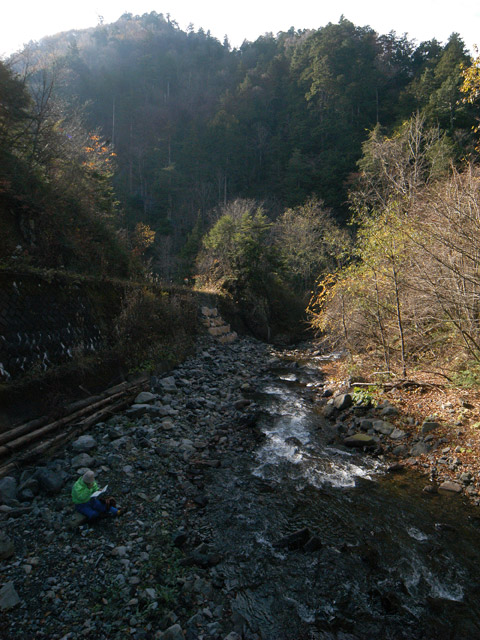 �����X�ѓS��,�ѓS,�p����,�攪���X�싴��,�ۑ���