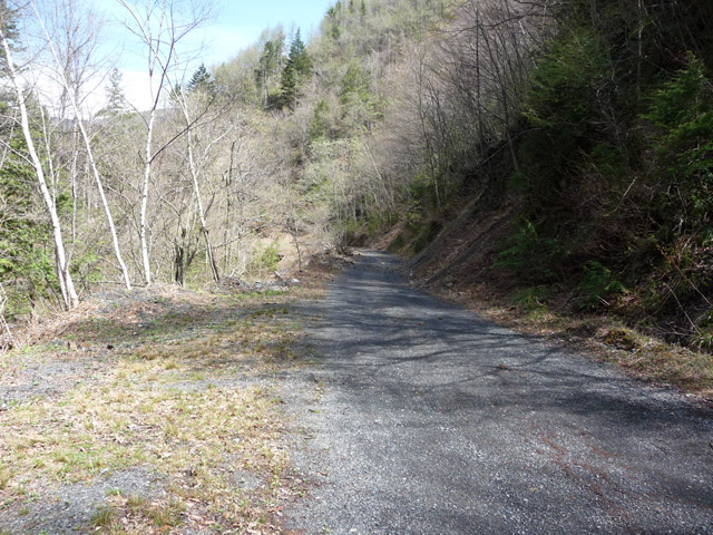 �����X�ѓS��,�ѓS,�p����,����