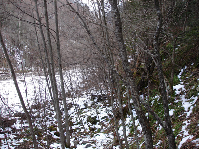 �����X�ѓS��,�p����,����,���X��,���ؑ]�ѓS