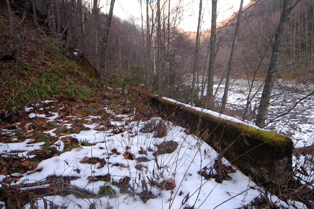 �����X�ѓS��,�p����,����,���X��,���ؑ]�ѓS