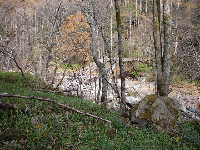 �����X�ѓS��,�ѓS,�p����,�ؑ���,����,�ؑ]�X