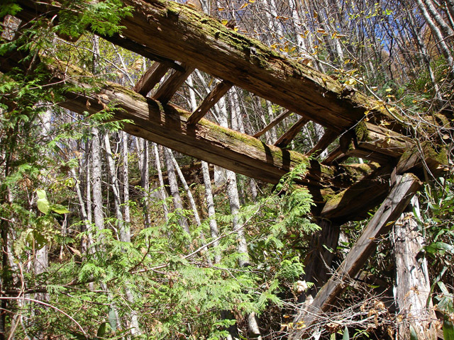 �����X�ѓS��,�ѓS,�p����,�؋�,����,�P��