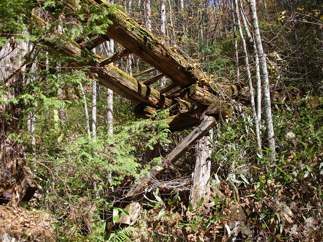 �����X�ѓS��,�ѓS,�p����,�؋�,����,�P��