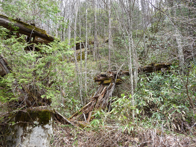 �����X�ѓS��,�ѓS,�p����,�؋�,����,�P��