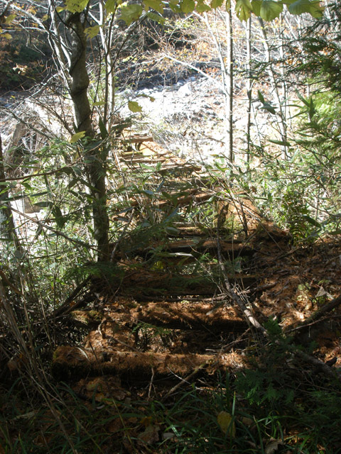 �����X�ѓS��,�ѓS,�p����,�؋�,����