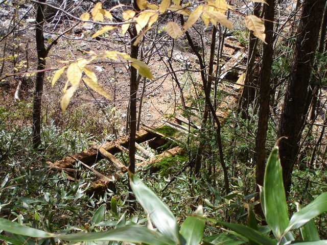 �����X�ѓS��,�ѓS,�p����,�؋�,����,�ؑ]�X