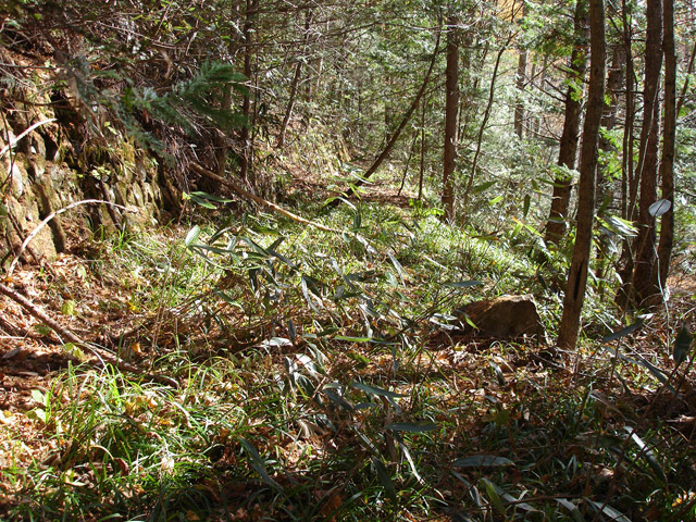 �����X�ѓS��,�ѓS,�p����,����,�ؑ]�X